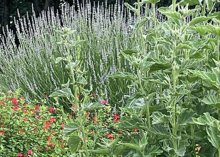 - Les Corderies Hotel 4*